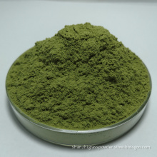 Organic Alfalfa Leaves Powder